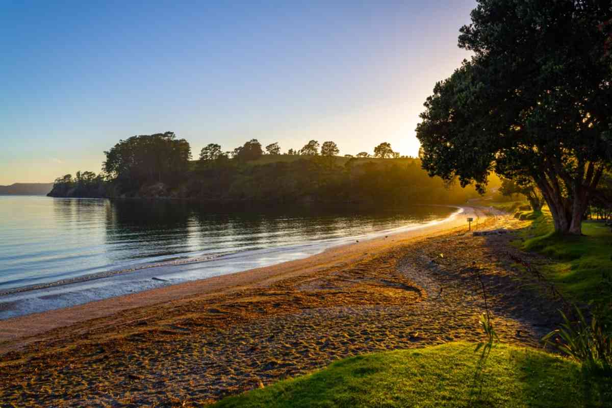 Martins Bay Holiday Park Your Ultimate Coastal Escape